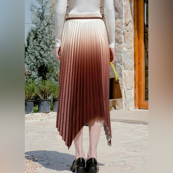 Petite Studio Calla Pleated Skirt in Rust, size XXS - Picture 2 of 16
